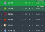 江南体育官方入口-阿奇建功难奈何超离奇乌龙，云南2-1逆转河南，中超最新积分如下的简单介绍