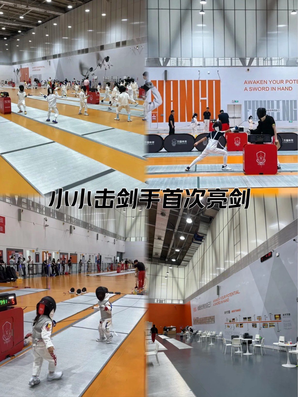 意大利击剑强手连胜，逐鹿金牌