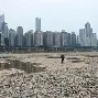 河床伤病恢复进展顺利，期待发挥